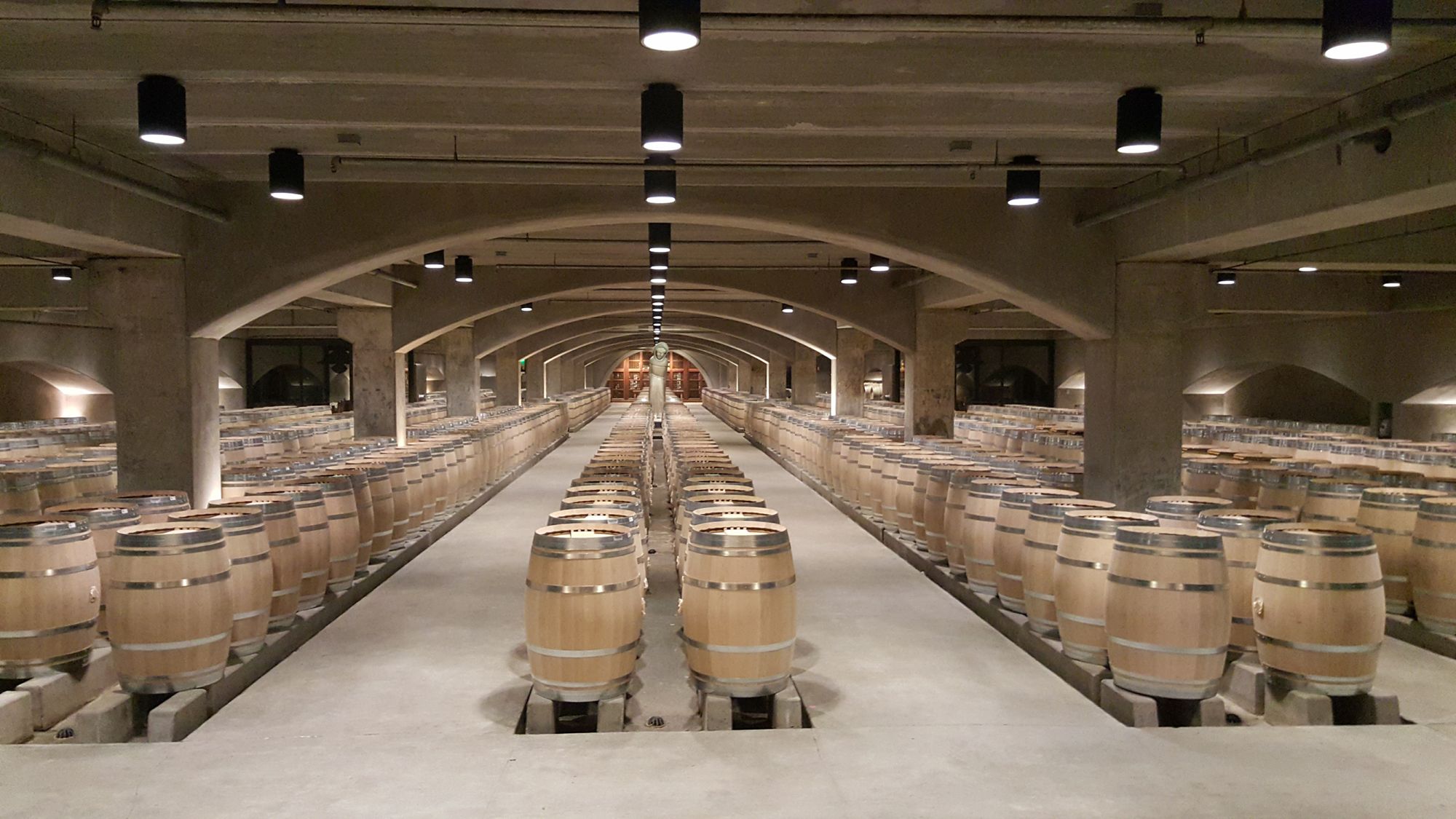 Napa Valley Harvest "crush" Season